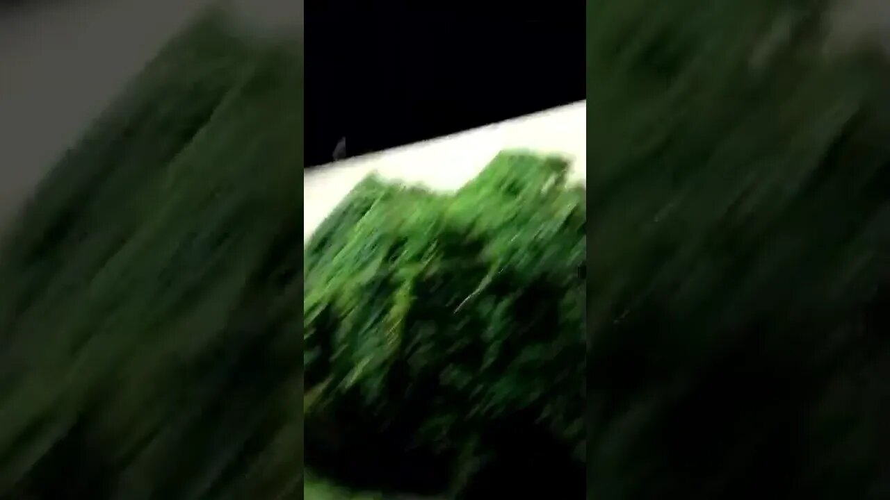 #gangstalking perp walk 07/14/2022 Pt. 2. My phone camera got cut off.