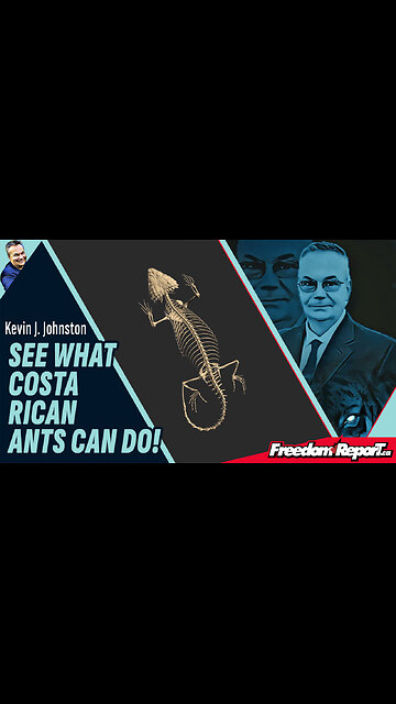 SEE WHAT COSTA RICAN ANTS CAN DO!