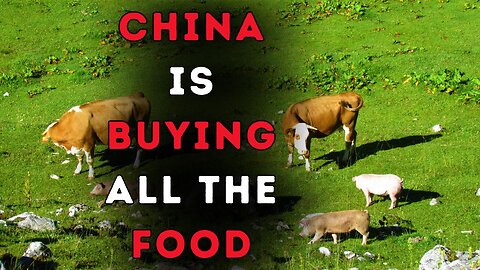 Ep.56 China Is Buying All The Food