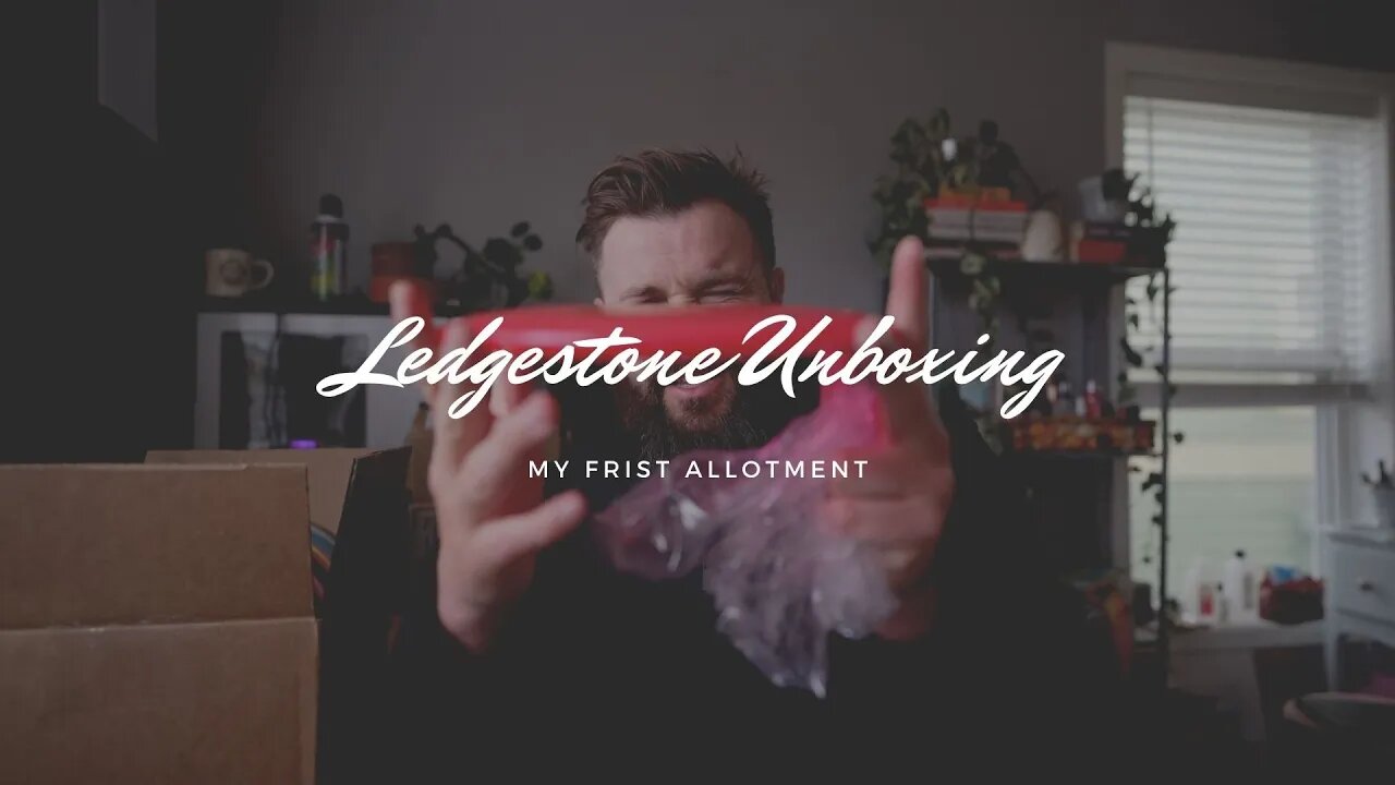 Unboxing my first Ledgestone disc allotment
