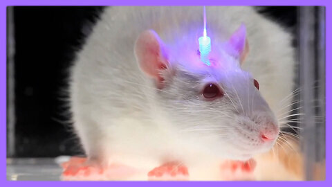 Optogenetics and the Secret Worldwide Nanotech Experiment