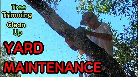 Yard Maint Maintenence "tree trimming/clean up"