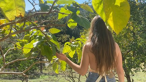 How I Live a Quiet and Peaceful Life: Leaving the City to Sew my Own Clothes, Grow Food and Be Free 