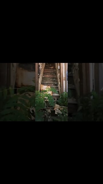 @UPeople #subscribe #funny #comedy