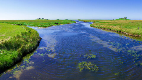 Hallig island Hooge