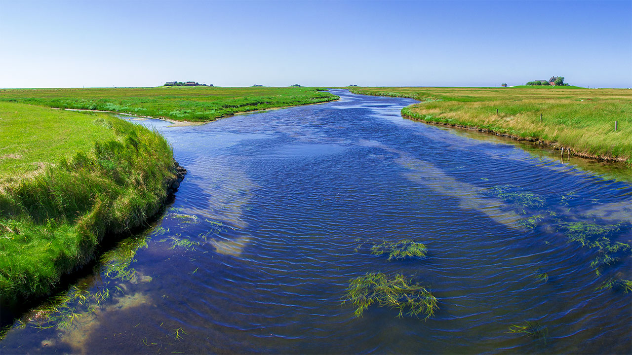 Hallig island Hooge