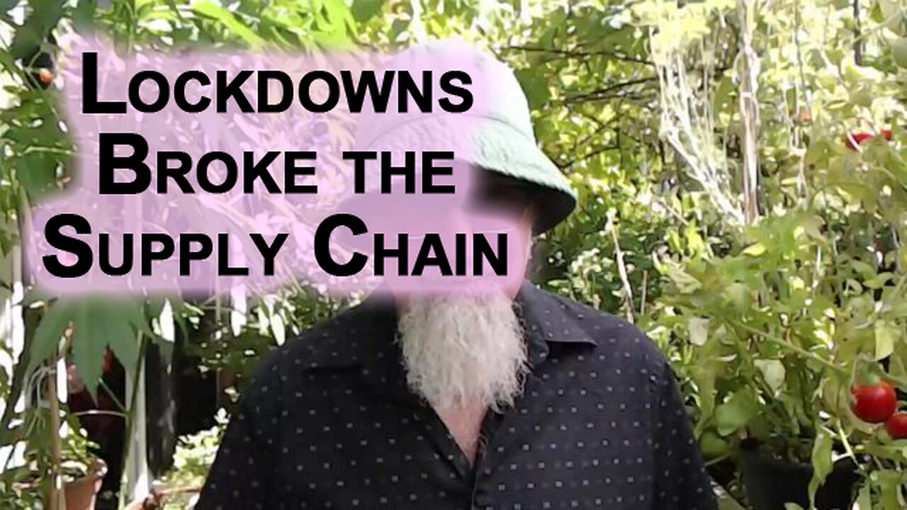 Lockdowns Broke the Supply Chain