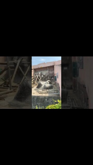 어린이대공원 원숭이