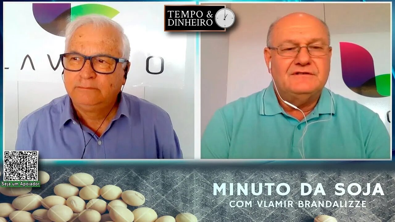 Arroz crescendo em plena colheita - Feijão reage com volta da demanda