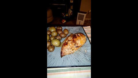 Eating Tyson Boneless Frozen Skinless Chicken Breasts, Dbn, MI, 12/16/24