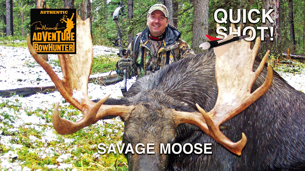 SAVAGE MOOSE - QUICK SHOT!