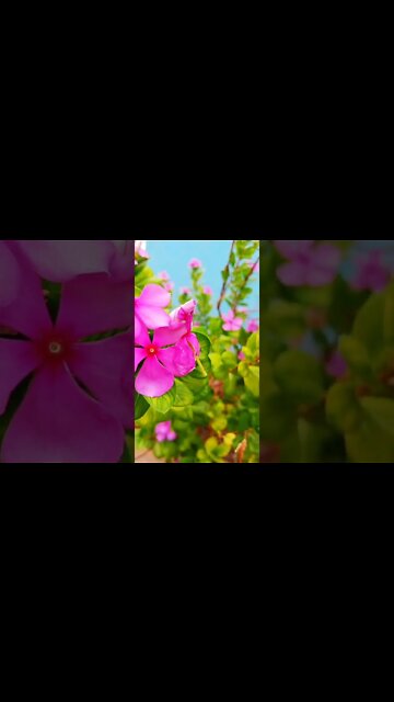 awesome effect #shorts #shorts