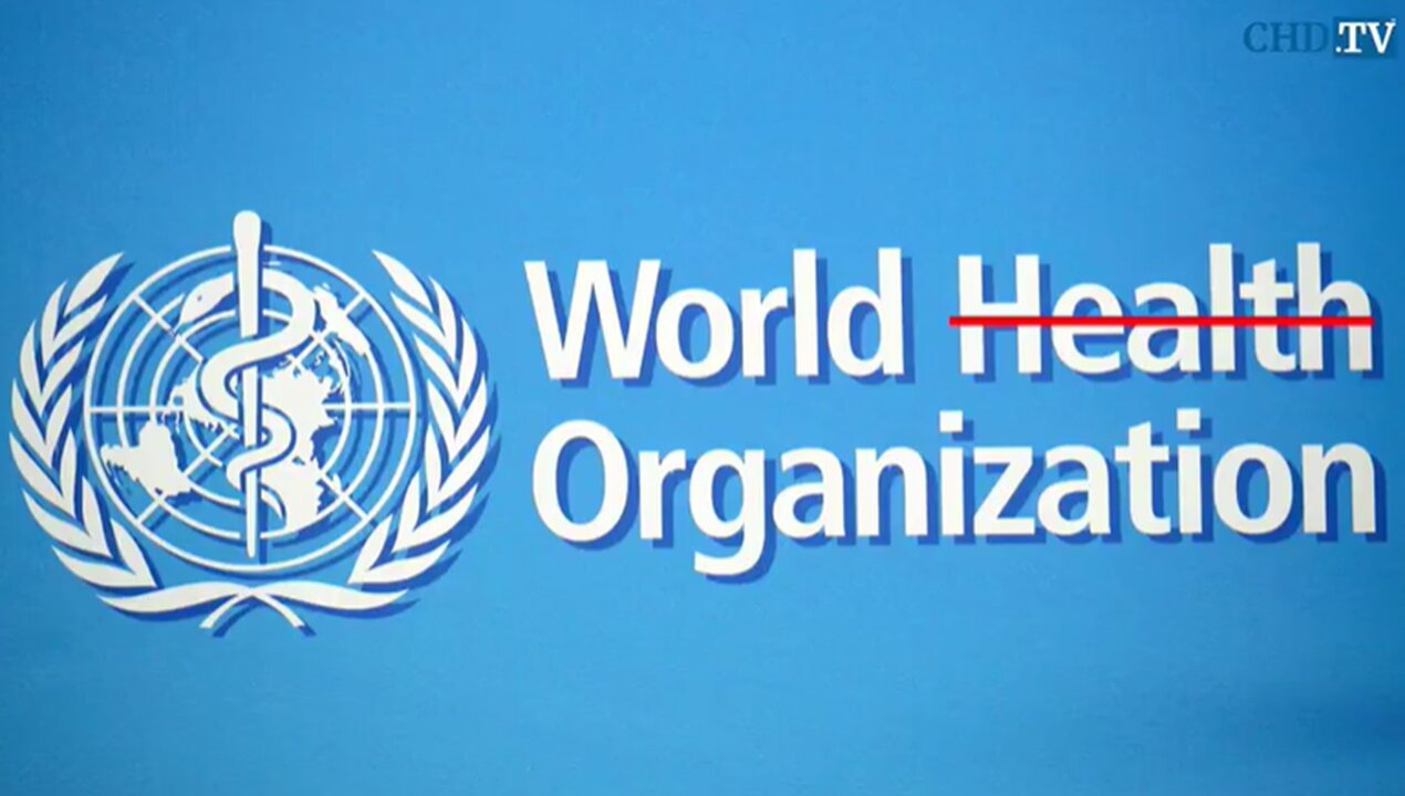 WHO= The World Health Organization- What You Need to Know!!!