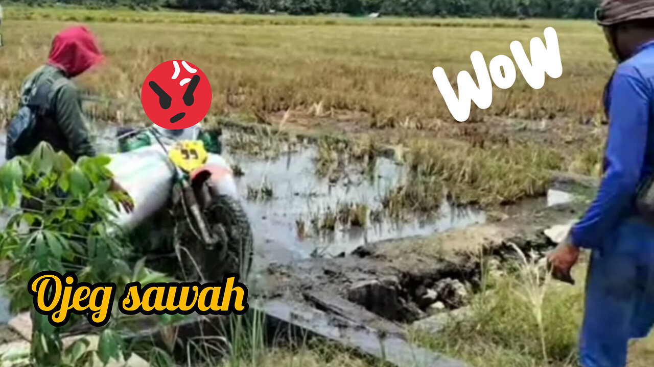 Ojeg sawah