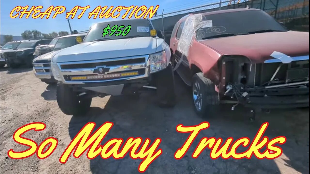 So Many Trucks, Diesel, Yukon, Lifted Trucks, Duallys, And More Cheap At Auction, IAA Walk Around