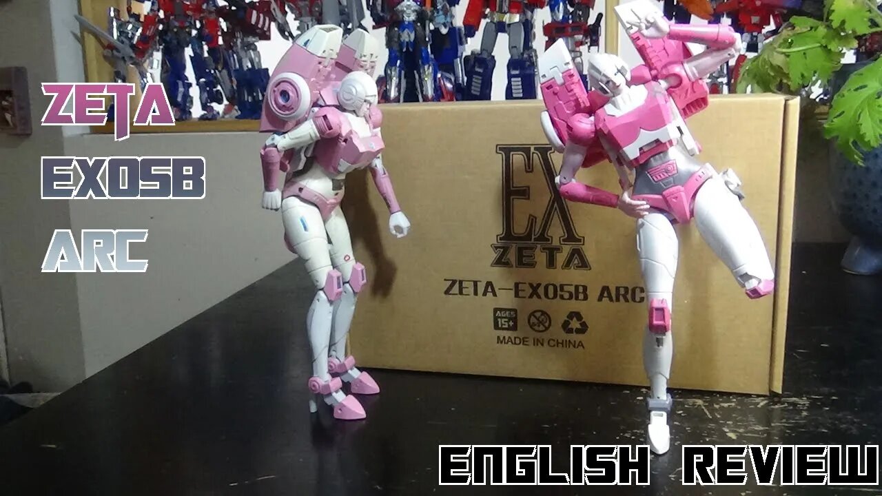 Video Review for Zeta - EX05B - Arc
