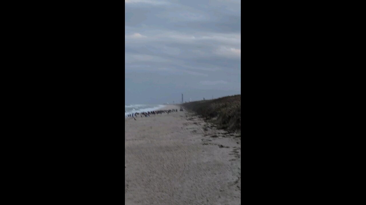 Space-X launch from Playlinda Beach 12/17/2024