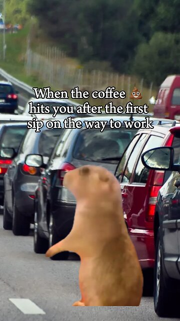 Funny meme video 😂