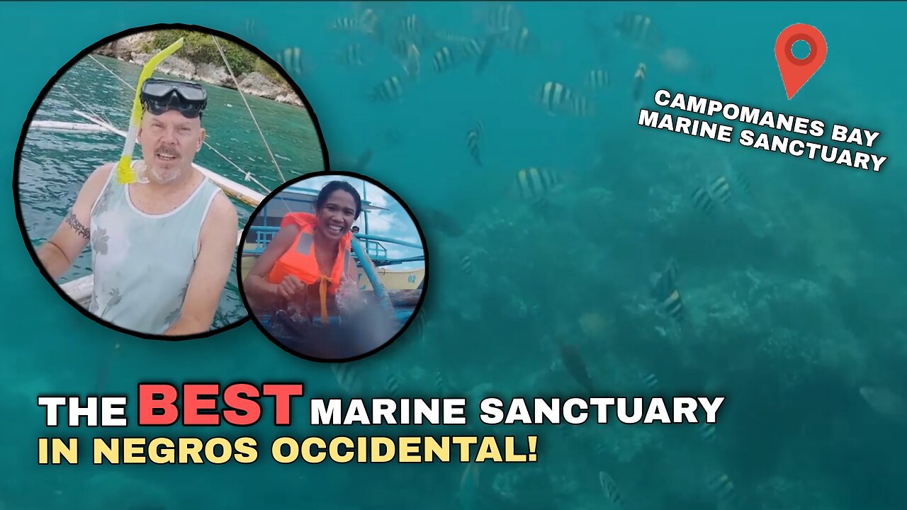 The Marine Sanctuary in Negros Occidental