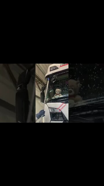 #shorts #2022 funny,prank,funjokes,dad jokes,funny memes,funny video,fun,laughing,funny animal,knock