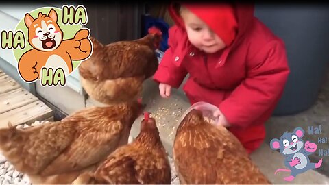 Feed the chicks, then fall down | so cute | Baby activities are entertaining at all times