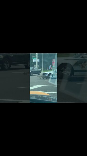 Just Another Day in Florida !!!!