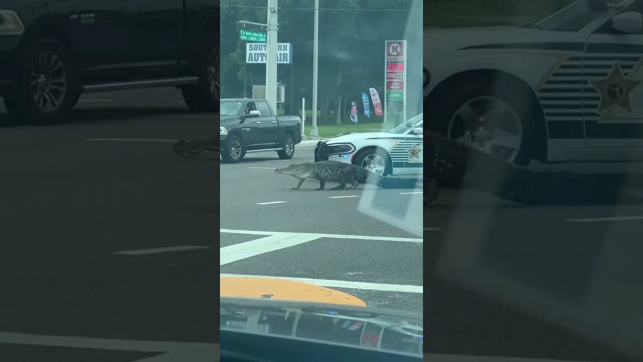 Just Another Day in Florida !!!!