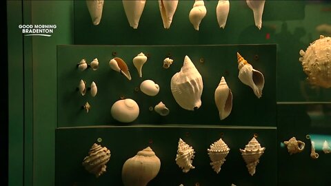 Bradenton's Bishop Museum of Science and Nature has been educating the community for 75 years