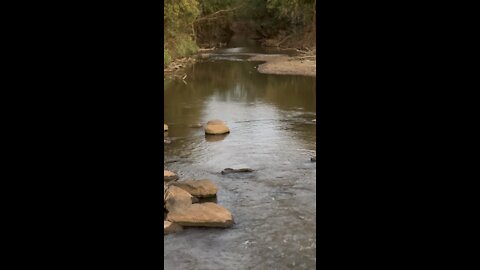 Babbling Brook