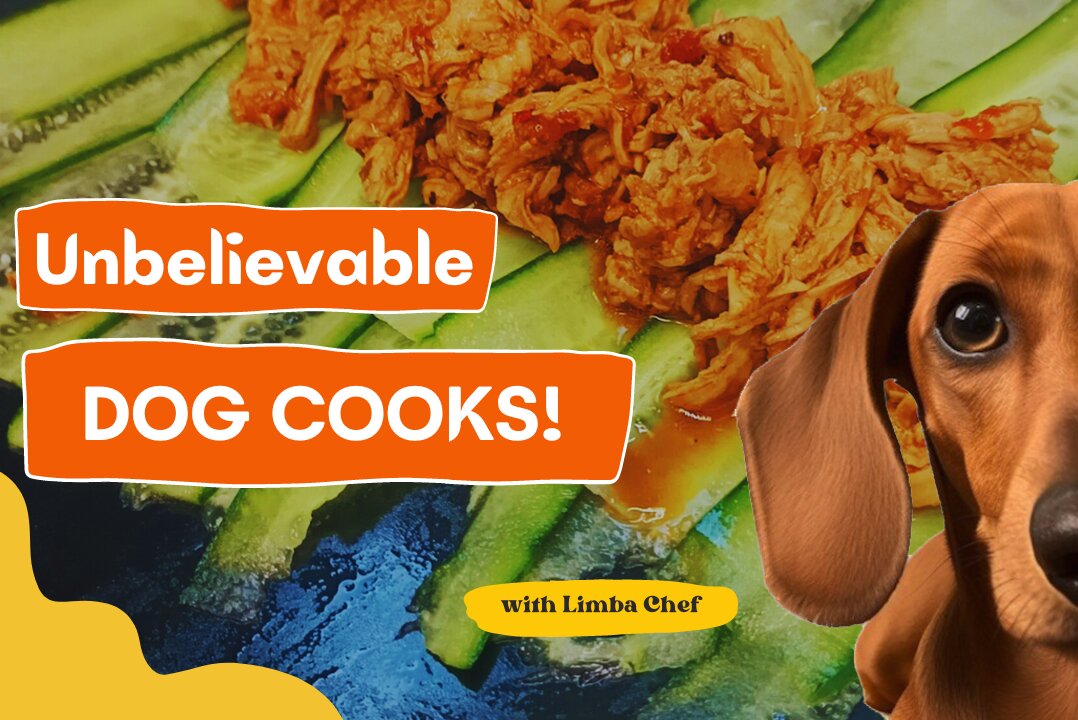 HOW TO MAKE A DELICIOUS CHICKEN🍗 THAI DISH...USING A DOG🐶?!