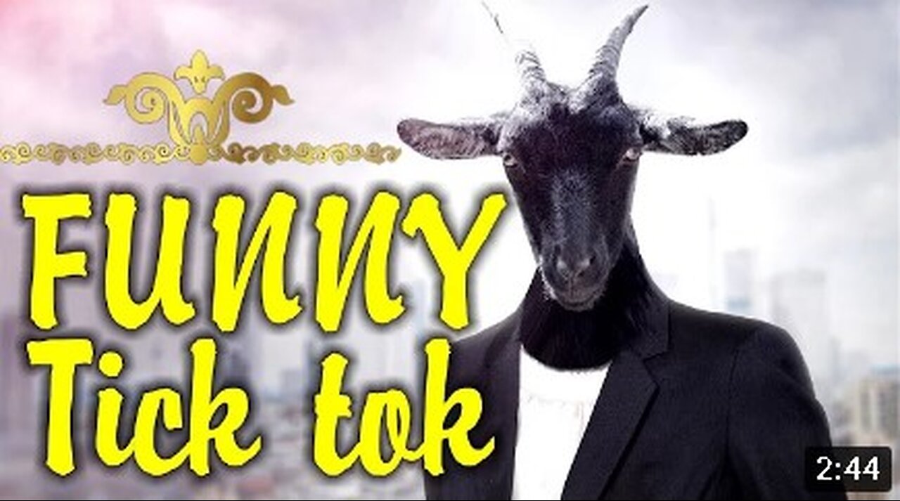 Funny tik tok compilation | Best Tiktok videos | USA Tiktok Short Clips | try not to laugh challenge