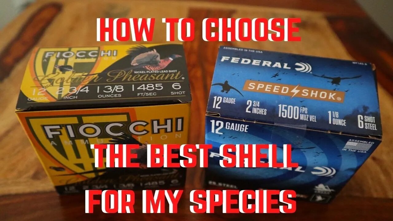 How to Pick Shotgun Shells