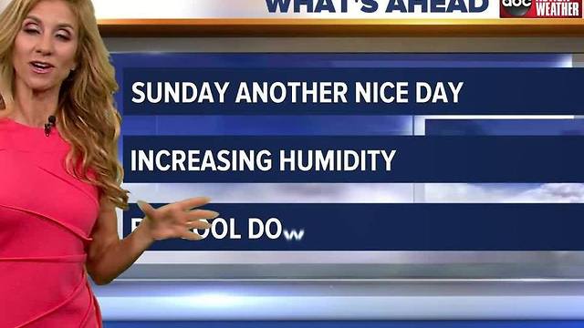 Action Weather Forecast