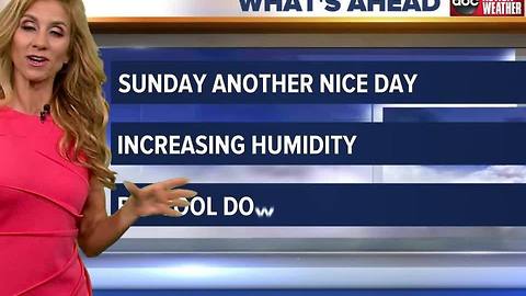 Action Weather Forecast