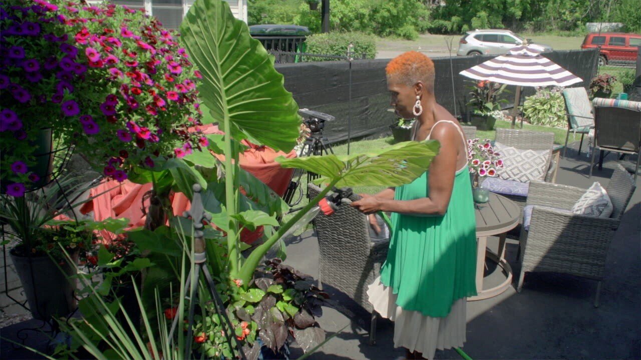 Changing the East Buffalo narrative with a garden stroll