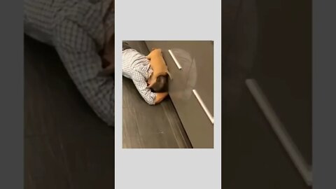 Let me help…it’s definitely under there, try getting lower. 😏🤣🐶🐾