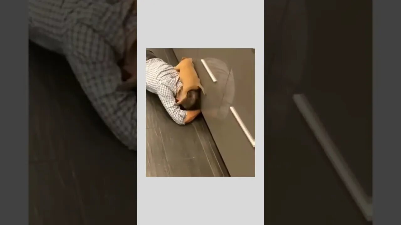 Let me help…it’s definitely under there, try getting lower. 😏🤣🐶🐾