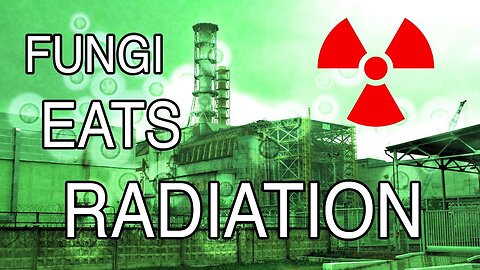 ☢️ Fungi that eats radiation found inside Chernobyl nuclear reactor ☢️