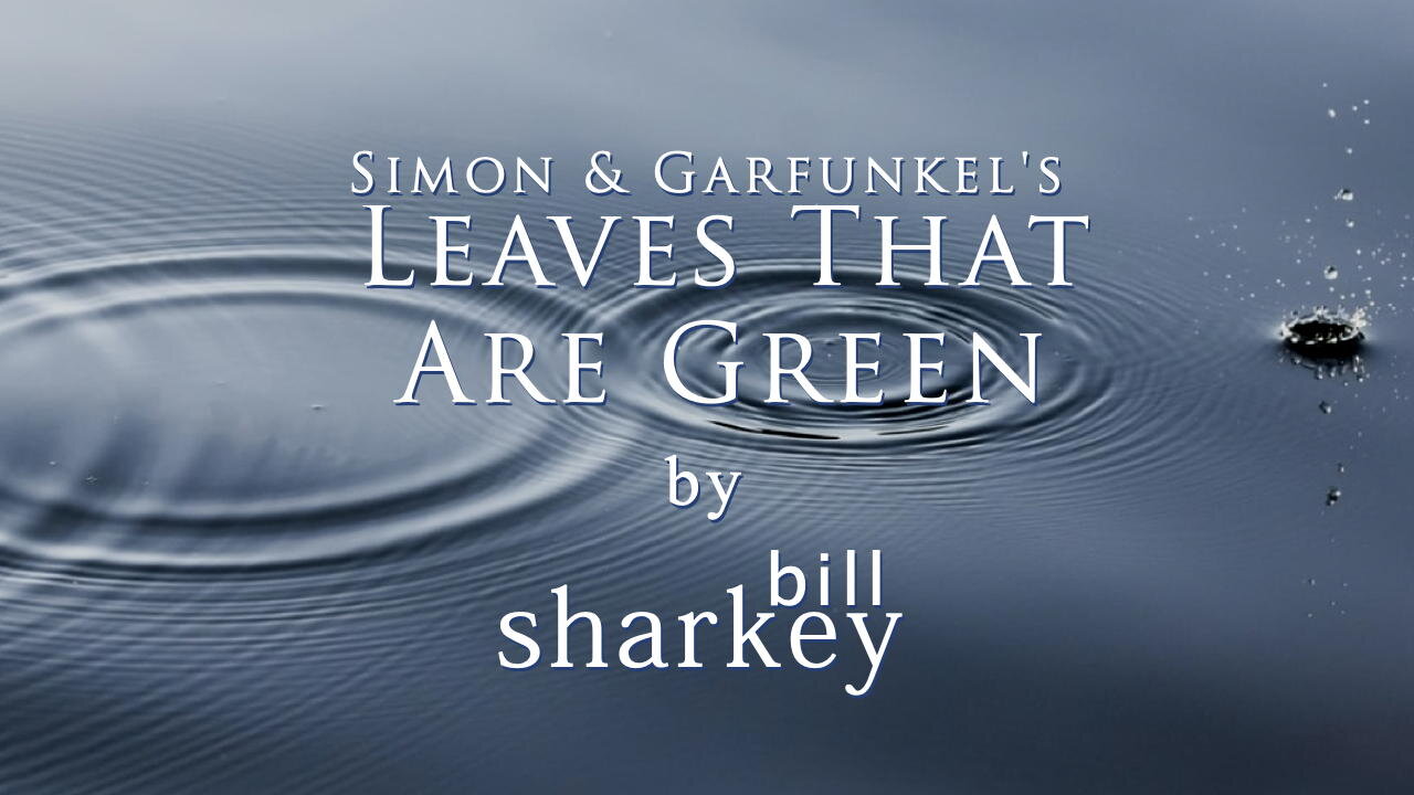 Leaves That Are Green - Simon & Garfunkel (cover-live by Bill Sharkey)