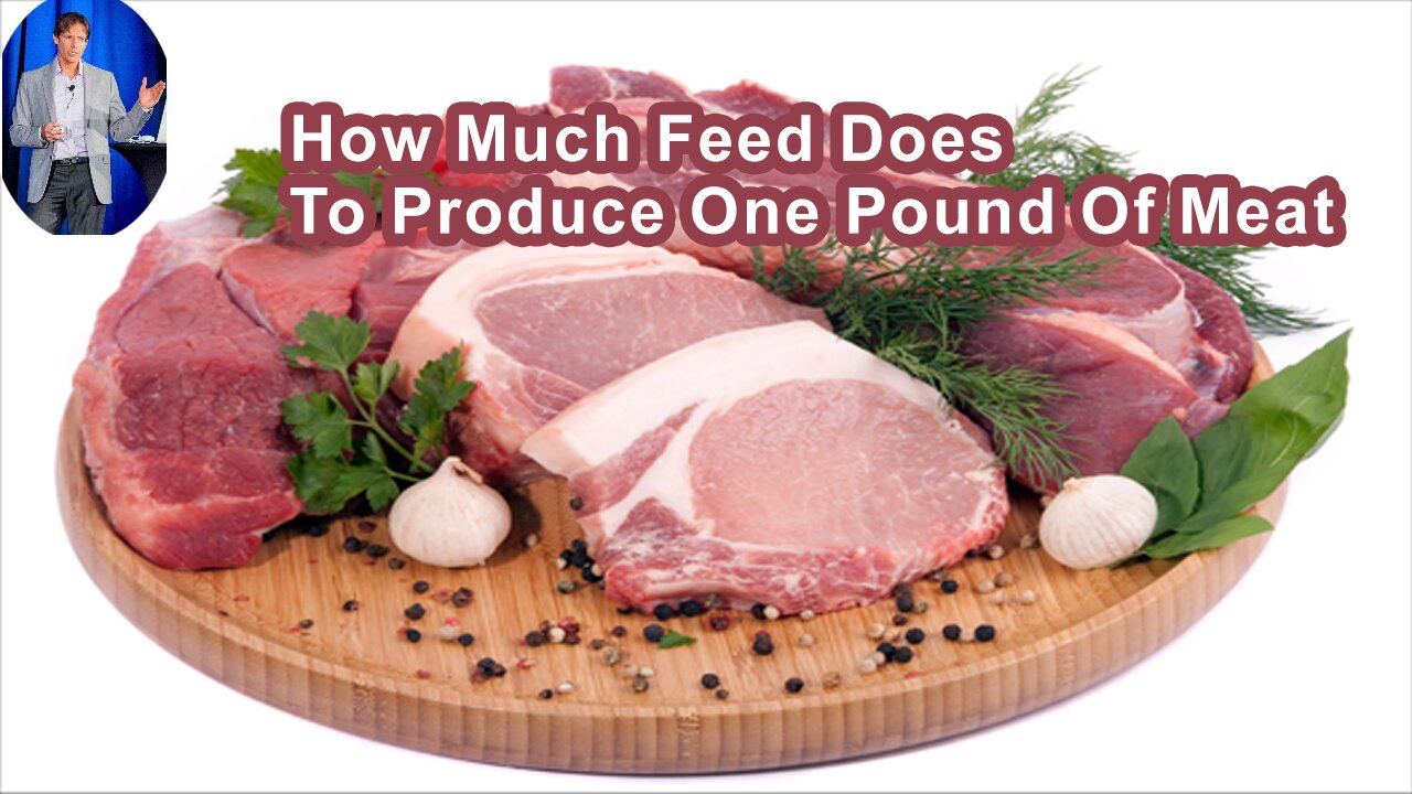 How Much Feed Does It Take To Produce One Pound Of Meat?