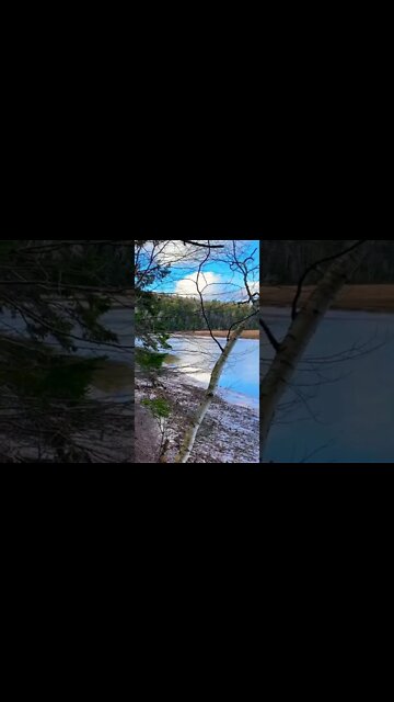 There is hidden beauty in nature