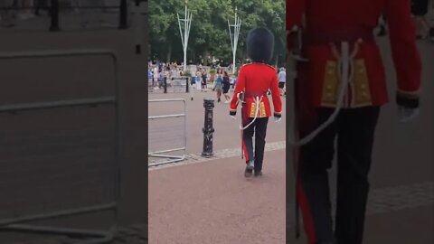 The Queen's Guard Buckingham Palace #buckinghampalace