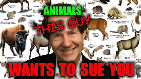 Animals Can Sue You?! - Obama Admin Member Wanted To Sue Americans 'For The Animals'