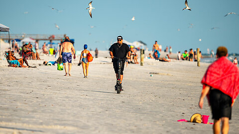 Ever Wonder Why Some Beach Nesting Birds are Threatened?