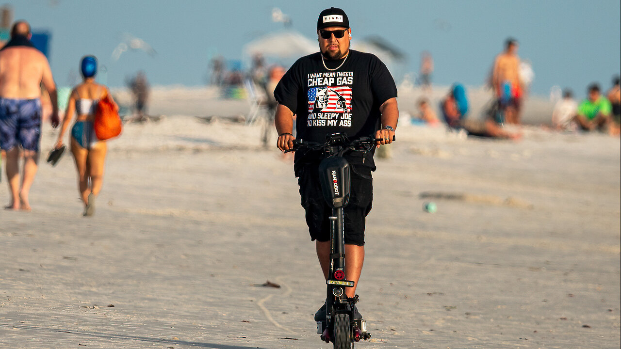 Ever Wonder Why Some Beach Nesting Birds are Threatened?