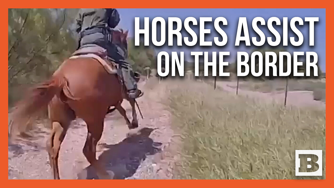 Horses Assist Texas DPS Chase Down Human Smuggler After He CRASHES in Ditch