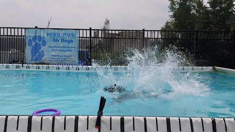 Korbin dock diving