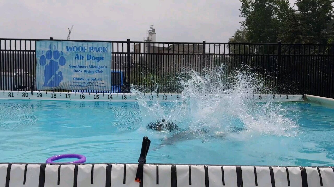 Korbin dock diving