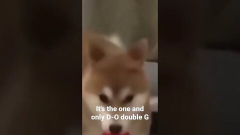 It's the one and only D-O double G #shorts