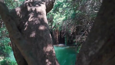 Natures Foreshadowing, Meditation Track ~ Relaxing Sleep Music.